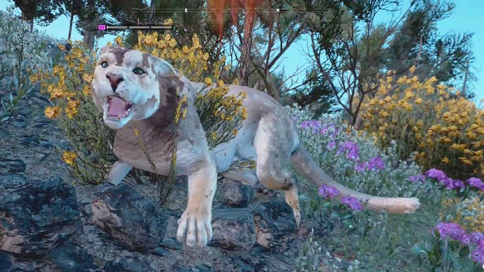 Guide Far Cry New Dawn Animaux Emplacement Cougar