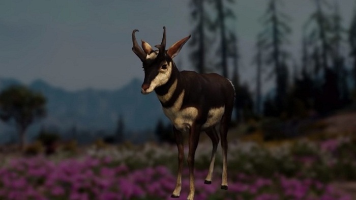Pronghorn guide localisation Animaux Far Cry New Dawn