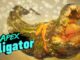 Tuer Apex alligator dans Maneater