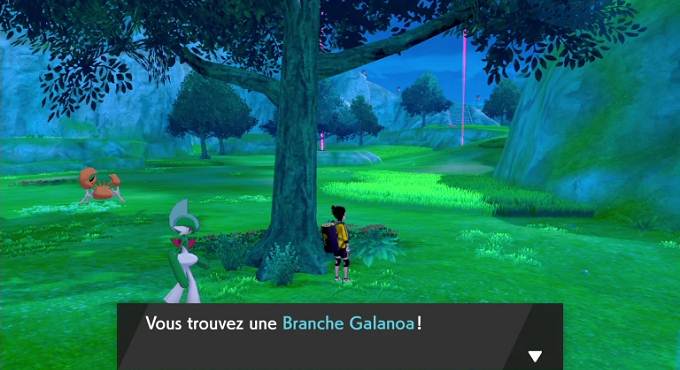 Branches Galanoa dans Pokémon Épée et Bouclier Guide