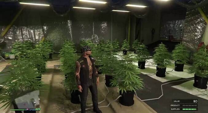Obtenir une ferme de cannabis dans GTA Online