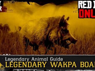 Où trouver le légendaire sanglier Wakpa dans Red Dead Online