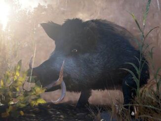 Où trouver Le Porc de sang légendaire dans Assassin's Creed Valhalla (ACV) - Blood Swine Guide