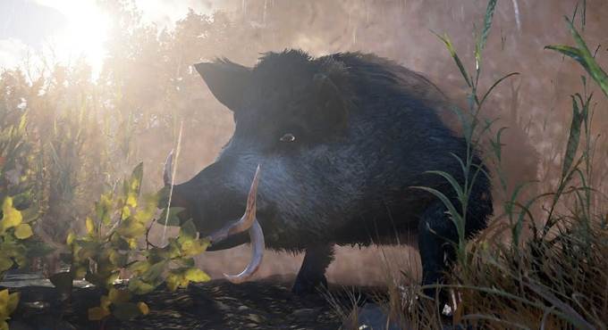 Où trouver Le Porc de sang légendaire dans Assassin's Creed Valhalla (ACV) - Blood Swine Guide 