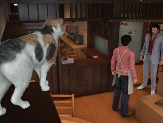 Où trouver les 10 chats dans Yakuza Like a Dragon - Guide PS5 Xbox Series X PC PS4 One