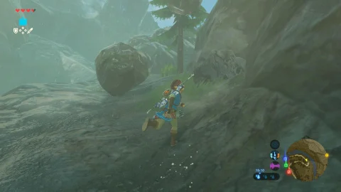 Tenue Zora Zelda BoTW